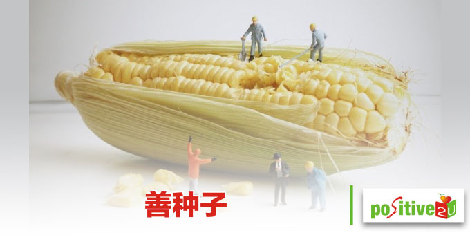 善种子