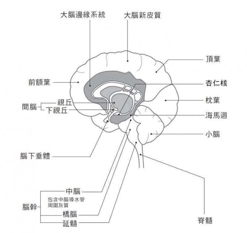 压力让你食欲不振丶便秘丶腹泻?多按1穴位 抗压性变强 20190304155039 6c0f3874 la 压力让你食欲不振丶便秘丶腹泻?多按1穴位 抗压性变强