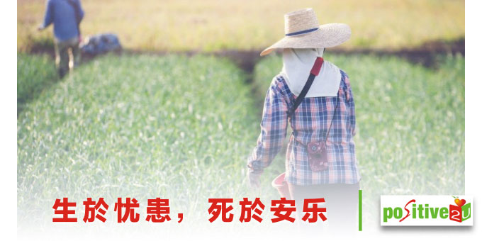 生於忧患,死於安乐