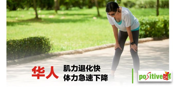 【健康良食】华人肌力退化快丶体力急速下降 2关键打破「中年体力恶循环」