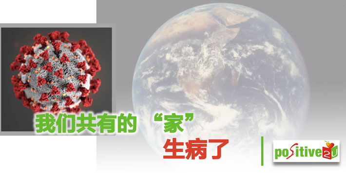 【生命教育】我们共有的 “家” 生病了