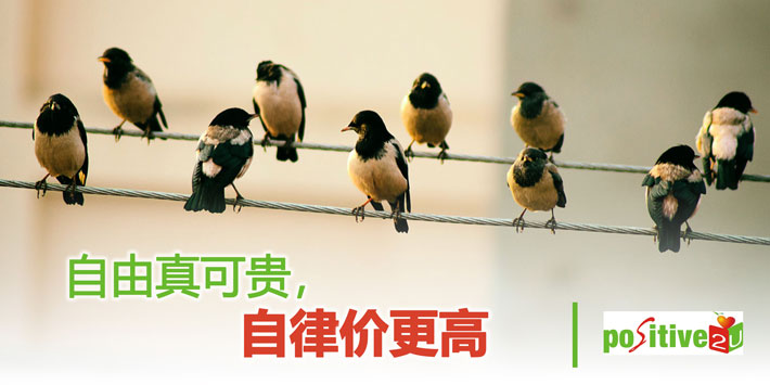 【生命教育】自由真可贵，自律价更高