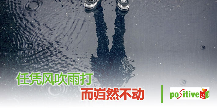 任凭风吹雨打而岿然不动