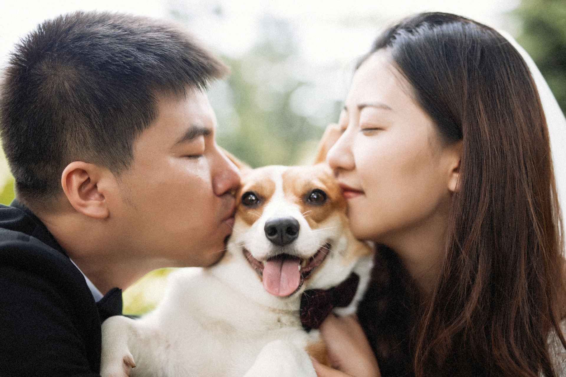 家,需要共同的憧憬?