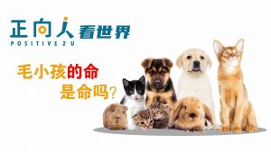 毛小孩的命是命吗?
