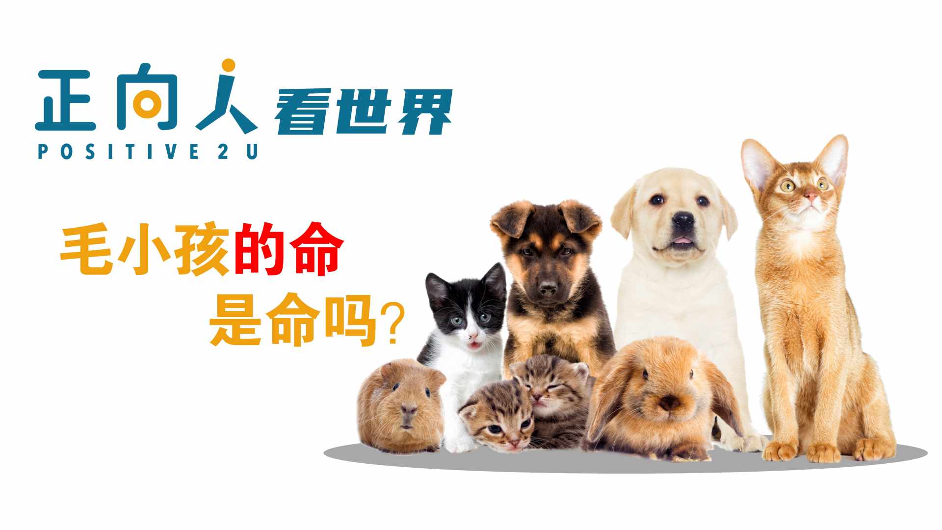 毛小孩的命是命吗？