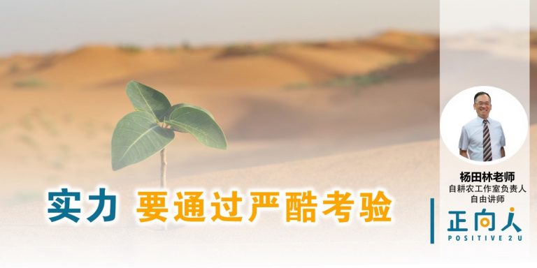 实力,要通过严酷考验——杨田林老师
